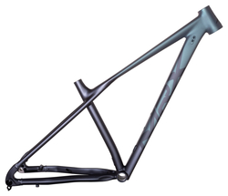 rám 29 MRX ER25 BOOST stříbrný chameleon
