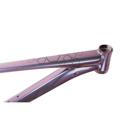 rám 29 MRX TB25 chameleon lesk