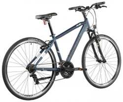 ARREZO AWIS 28" GENT, TIGER AZZURO 