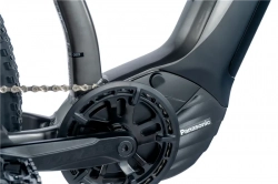LEADER FOX E-BIKE OXNAR 29"GENT,19,5"-3, GREY SHINY (PANASONIC)