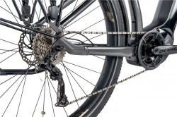 LEADER FOX E-BIKE DIXON GENT 29",19"-1,  GRAY SHINY (PANASONIC)