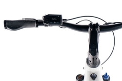 LEADER FOX E-BIKE 28" SANDY LADY 18"-1, WHITE SHINY (REAR MOTOR)