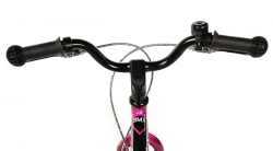 LEADER FOX KENO UNI 16"-3, PURPLE (BELT)