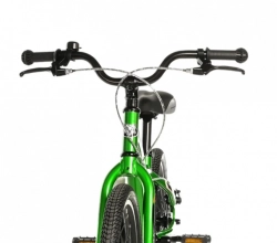 LEADER FOX KENO UNI 18"-1, GREEN (BELT)