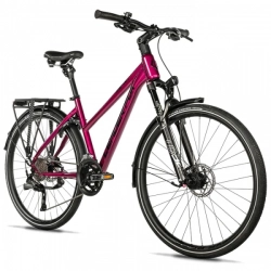 LEADER FOX ESPIRIT 28" LADY, -2 VIOLET SHINY 