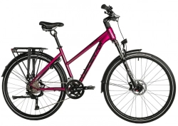 LEADER FOX ESPIRIT 28" LADY, -2 VIOLET SHINY 
