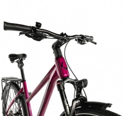 LEADER FOX ESPIRIT  LADY-2 VIOLET SHINY 18"