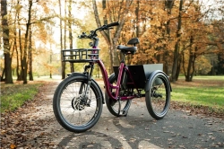 LEADER FOX CARGO - TRICYCLE CURTIS, FRONT MOTOR, BLACK SHINY