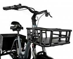 LEADER FOX CARGO - TRICYCLE CURTIS, FRONT MOTOR, GREY MATT