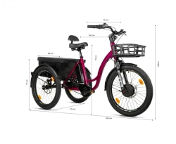 LEADER FOX CARGO - TRICYCLE CURTIS, FRONT MOTOR, VIOLET SHINY