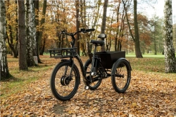 LEADER FOX CARGO - TRICYCLE LOVELO, FRONT MOTOR, GREY MATT