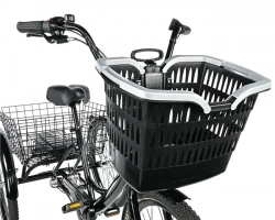 LEADER FOX CARGO - TRICYCLE BORMIO, BLACK SHINY