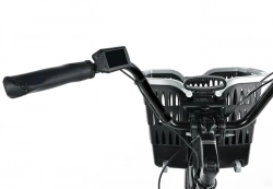 LEADER FOX CARGO - TRICYCLE BORMIO, BLACK SHINY