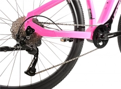 LEADER FOX E-BIKE SWAN GENT 29", 21,5"-2, PINK SHINY (MODEST)