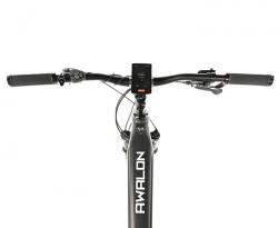 LEADER FOX E-BIKE AWALON GENT 29", 21,5"-1, GREY MATT (M420)