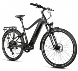 LEADER FOX E-BIKE 28" LUCAS GENT -2, GREY MATT (M420)