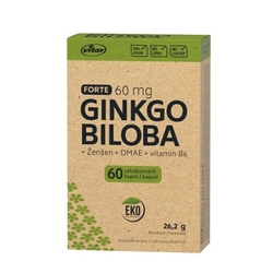 VITAR EKO Ginkgo biloba forte, 60 tablet