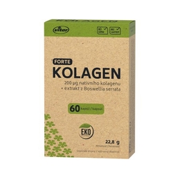 VITAR EKO Kolagen forte, 60 tablet